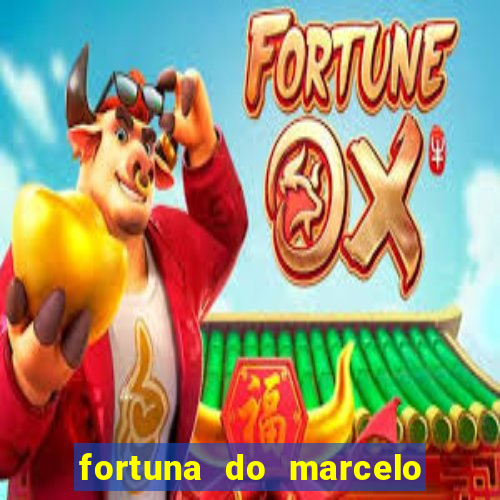 fortuna do marcelo do fluminense